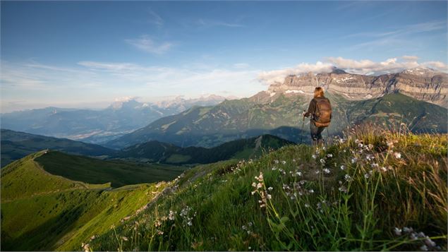 Pointe de l'Au - litescapemedia