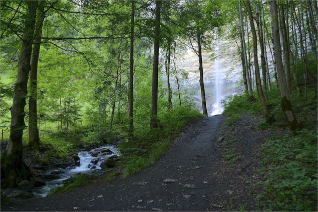 La cascade du Dard - David Machet