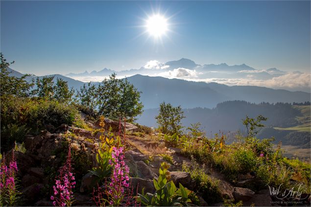 Vue en balcon sur la Chaine du Mont-Blanc - sentier de la Croix des Frêtes - La Giettaz - Office de