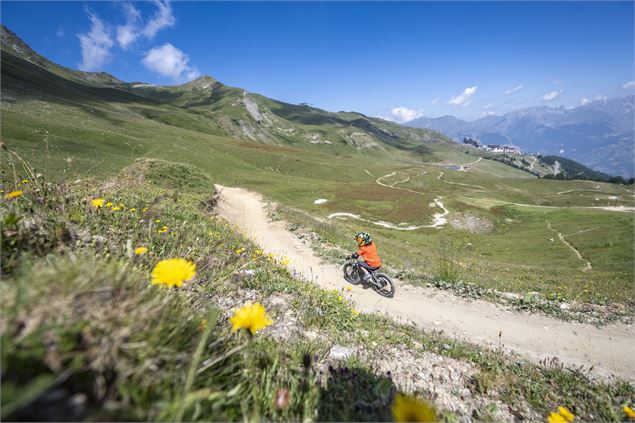 Descente sur le Bike Park - JNJ PHOTO LA PLAGNE