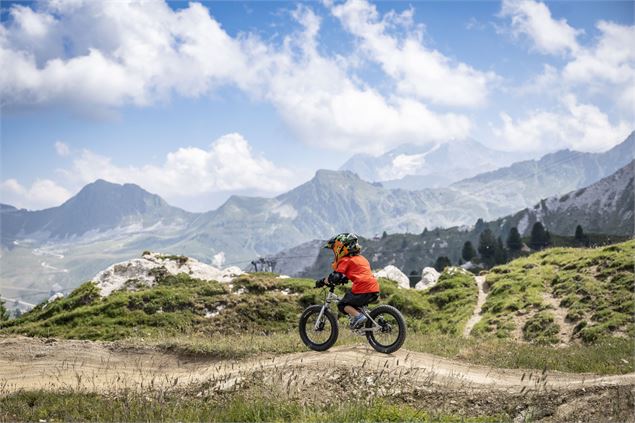 Descente sur le Bike Park - JNJ PHOTO LA PLAGNE