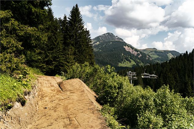 Piste VTT La Fluid du Bike Park de Châtel - L.Meyer - Châtel