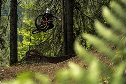 Vététiste en action sur la piste Ric et Rac du Bike Park de Châtal - L.Meyer - Châtel