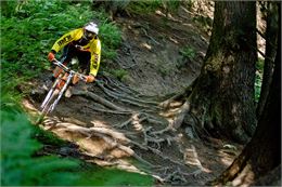 Piste VTT La Gueps - S.Cochard