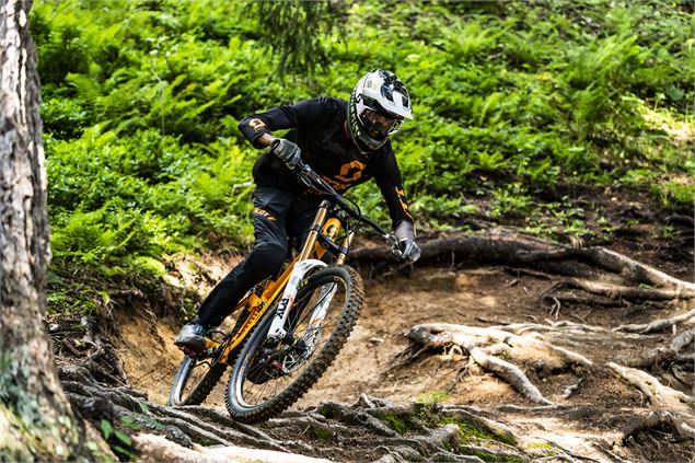 Piste VTT la Bike Patrol - L.Meyer - Châtel