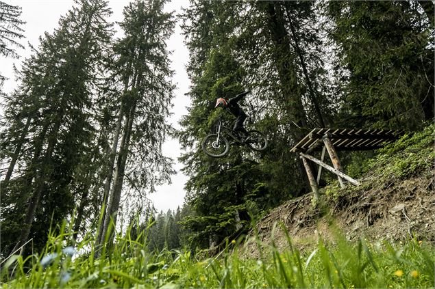 Piste Air Voltage du Bike Park de Châtel - L.Meyer - Châtel