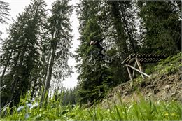 Piste Air Voltage du Bike Park de Châtel - L.Meyer - Châtel