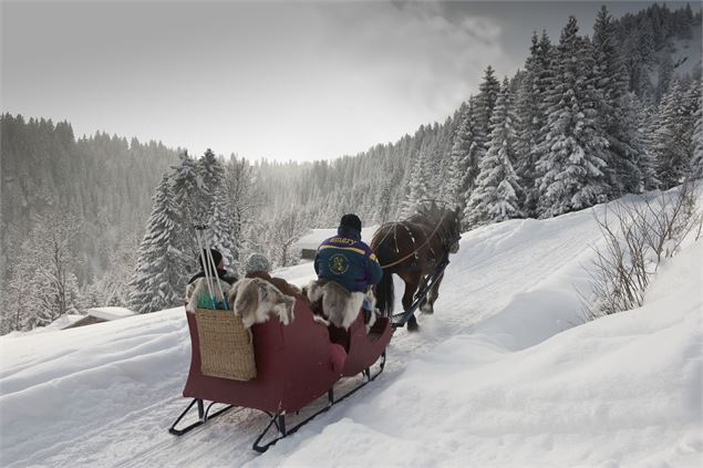 Balades traineaux à cheval - Les attelages de Colombaz - Gilles Lansard