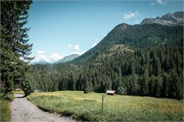 Randonnée VTT 6 - Boucle de Nant Borrant - Gilles Lansard / Les Contamines Tourisme