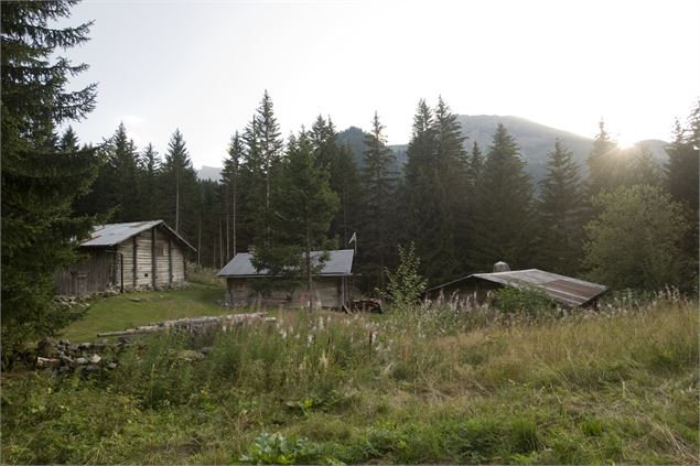 Randonnée VTT 6 - Boucle des Tourbières - Gilles Lansard / Les Contamines Tourisme