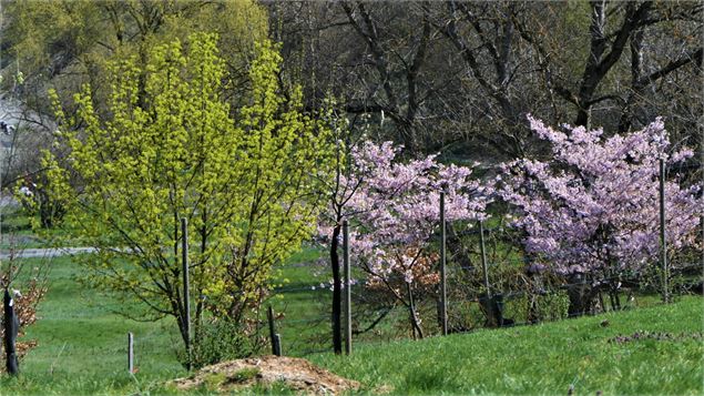 la balastière - mnpc