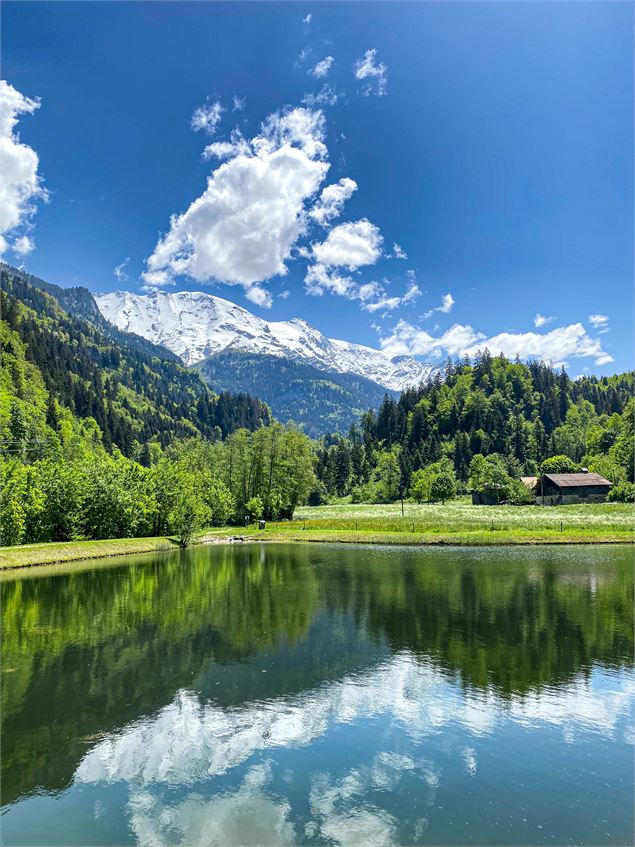 Lac de pêche du Vivier