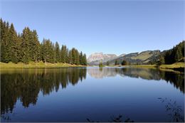 Vue sur le calme Lac de la Mouille, lac en altitude au milieu de la forêt - JF Vuarand