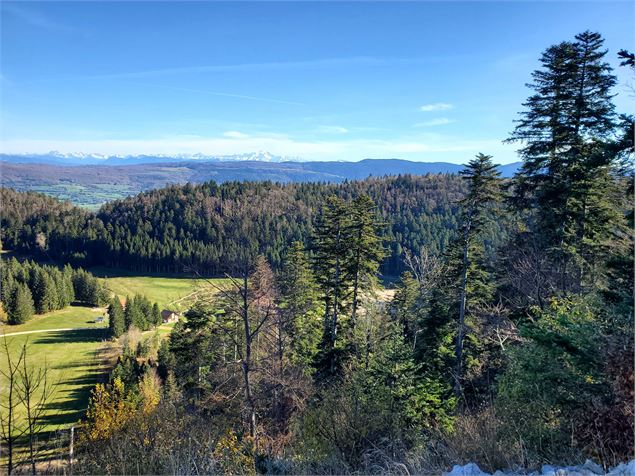 Parcours VTT 62 vert - Le Liaz d'Amont - Espace FFC Ain Forestière - C.Kaderabek-Haut Bugey Tourisme