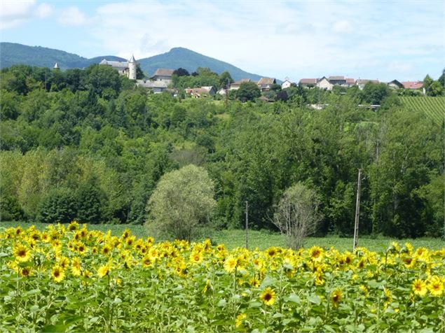 Château d'Andert - E.Bebi Belley Bugey Sud Tourisme