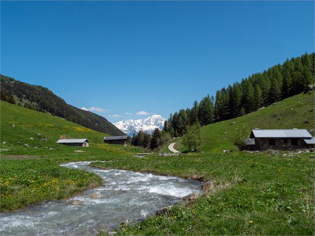 La Vallée des Bauches - OTMLC