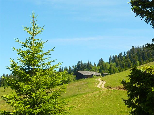 Le Tour du Chard du Beurre - K.Mandray