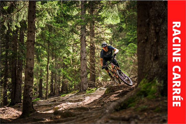 Racine Carrée - Bikepark Avoriaz