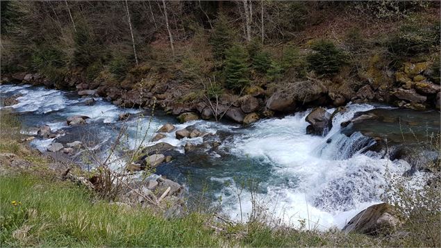 Vièze Val-d'Illiez - Monique Borel