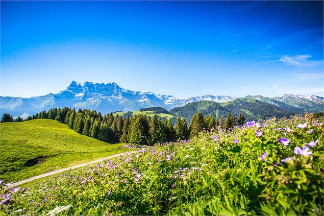 Trail running Portes du Soleil - Sylvain Cochard