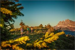 Trail running Portes du Soleil - Trail running Portes du Soleil