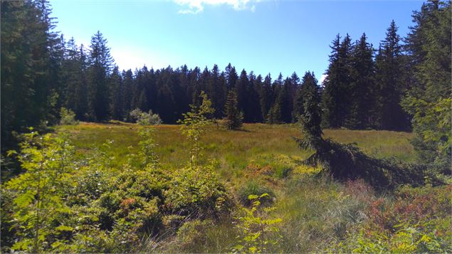 Le lac des Saisies - Office de Tourisme des Saisies