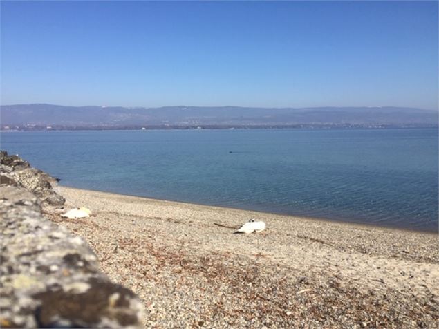 Plage de Nernier - Mairie de Nernier