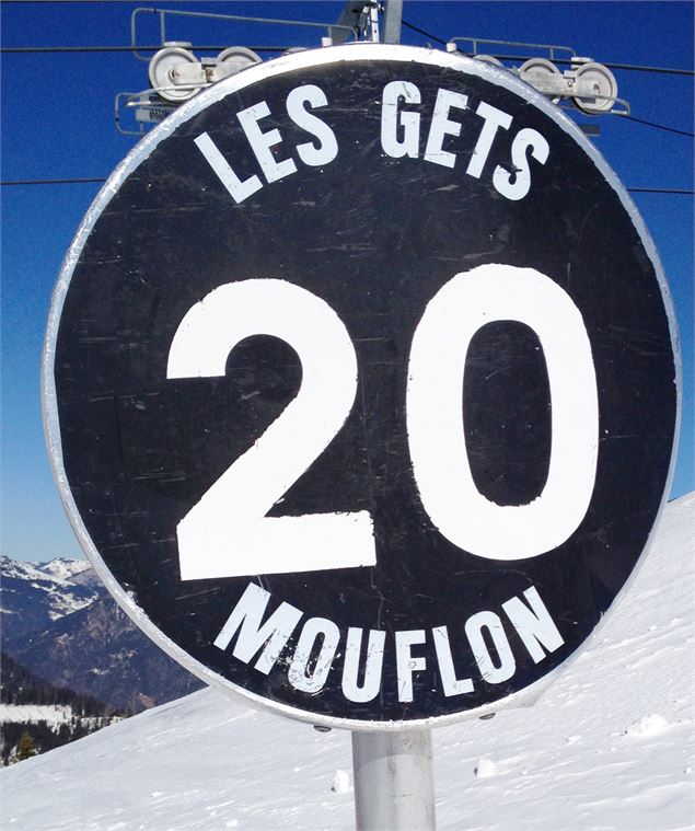 Mouflon - SOLEGETS