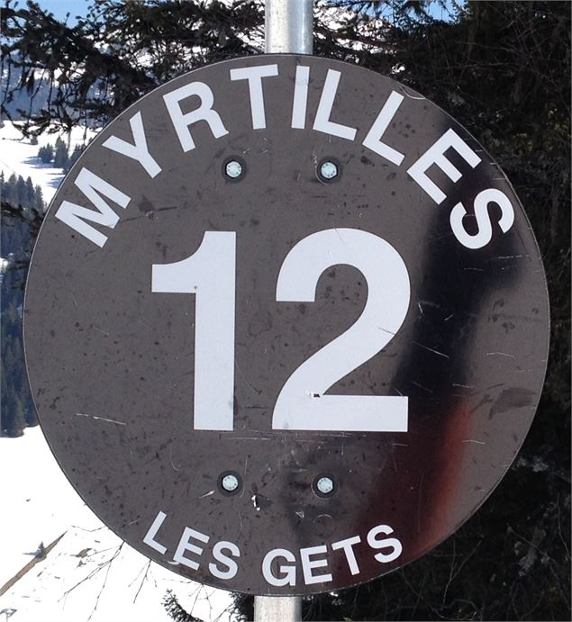 Myrtille - SOLEGETS
