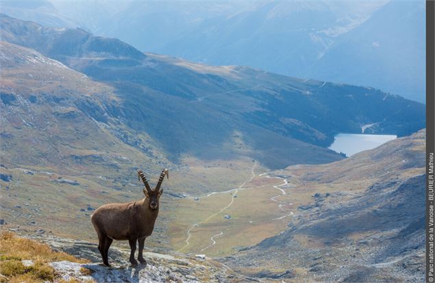 Le Col d'Aussois - PNV - M. BEURIER