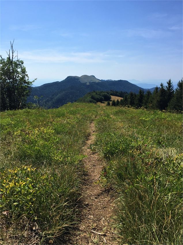 Sentier des crêtes d'Hergues et Grand Colombier - Maxime Ballet