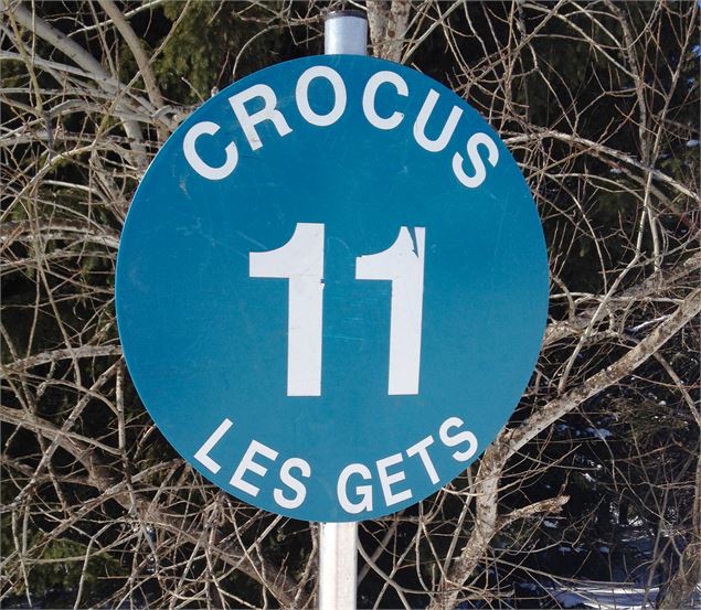 Crocus - SOLEGETS