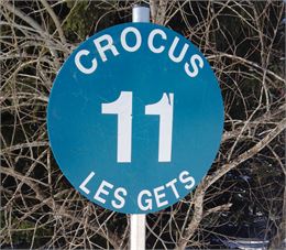 Crocus - SOLEGETS