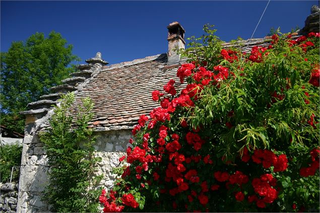 Randonnée : Tour de Nattages - Office de tourisme Bugey Sud Grand Colombier