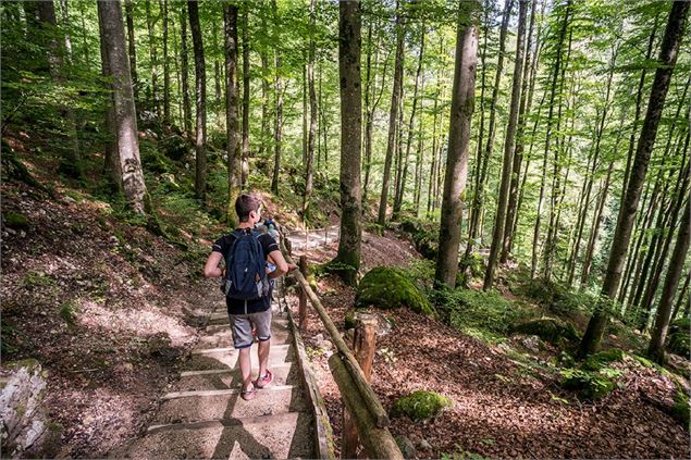 Sentier des gorges du Pont du Diable - A.Berger