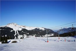 PISTE GENTIANE Les Gets