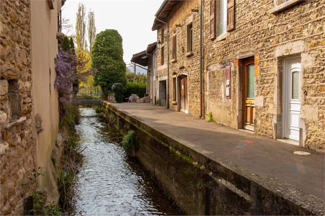 Cours d'eau Ambutrix - Marilou Perino