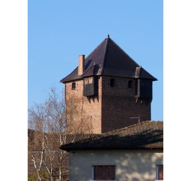 donjon et sa nouvelle toiture du Château d'Ambérieu en Dombes - C Penez / Département de l'Ain