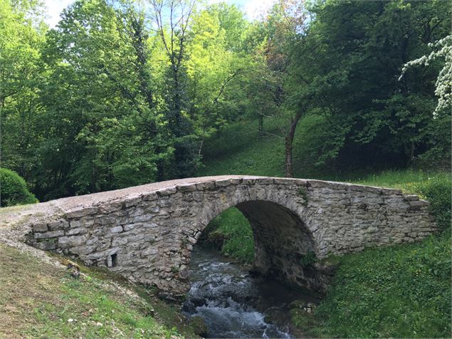 Pont de l'Abergement de Varey - CCPA