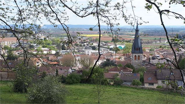 vue panoramique de Meximieux - Sabrina Megani