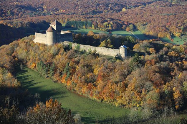 Château des Allymes - Château des Allymes