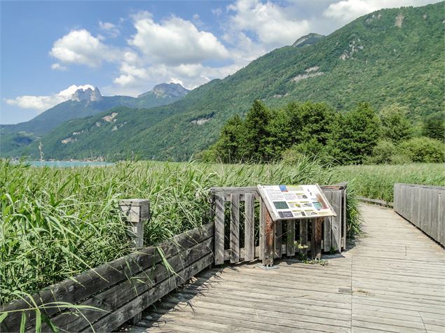 Panneau de signalisation de la réserve du Bout du lac d'Annecy à Doussard - vue sur les Dents de Lan