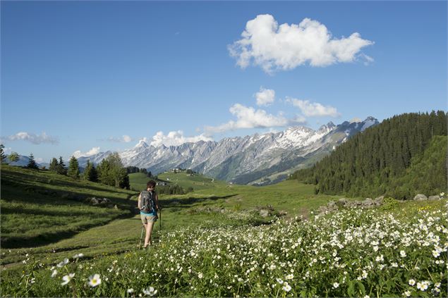 Randonneur sur le Plateau de Beauregard - SavoieMontBlanc-Lansard