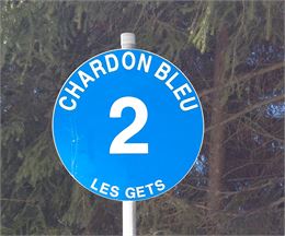 Chardon Bleu