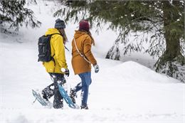 Bords de Dranse - Hiver Châtel - L.Meyer - Châtel