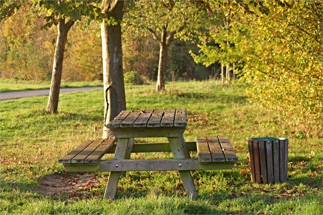 Table de pique-nique