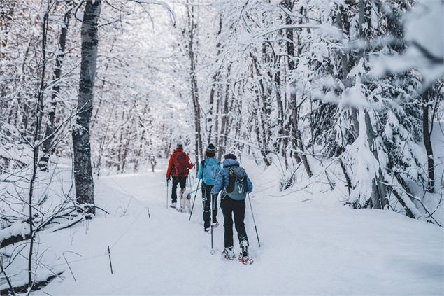 Groupe de randonneurs en raquettes, marchant dans la forêt menant à l'Oeillette, en hiver - Clara Fe
