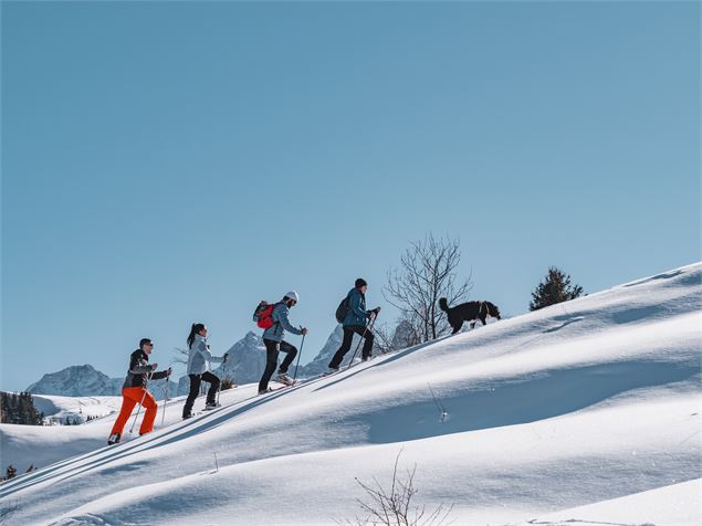 4 amis randonneurs en raquettes à neige montent une crête avec vue sur les Aiguilles d'Arves - Offic