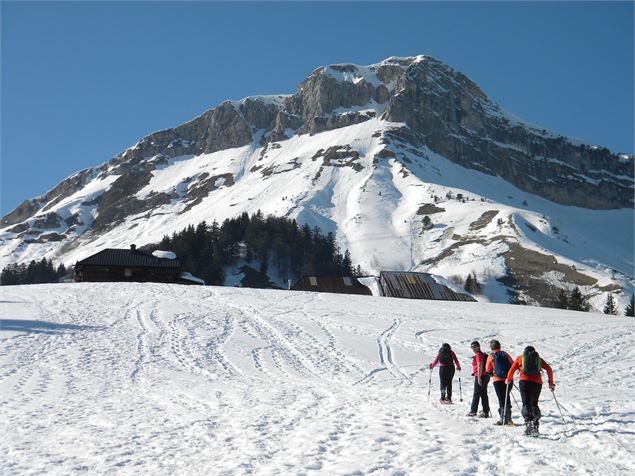 Chalets de la Fullie - OT des Aillons-Margériaz