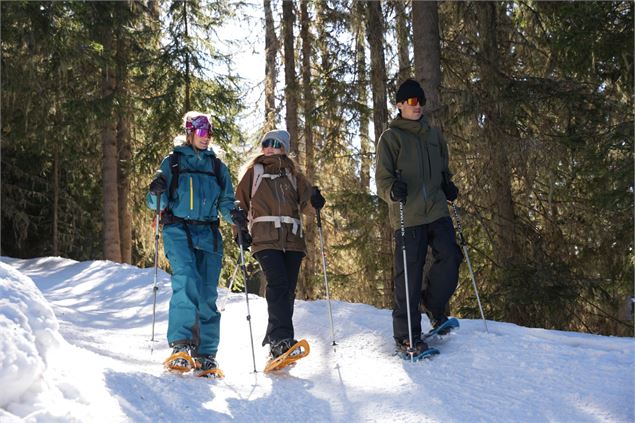 Itinéraire raquettes : Plan Bois_Sainte-Foy-Tarentaise